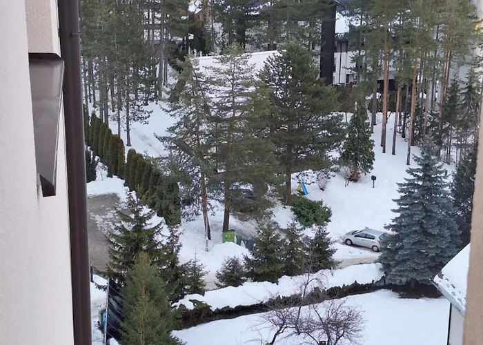 Briliant 즐라티보